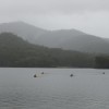 Rogue12 Adventuregaine Live Site .