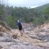 Perseverance… 2012 Crows Nest 004