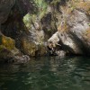 Rogue24 Live Site – 2016 Gorge