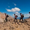 Big Races in South America Terra Viva