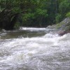 2012 Training Creeks Little Nerang Creek in flood.
