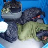 Rogue in the Media Team Traces of Nuts sleeping in a port-a-loo at Expedition Alaska